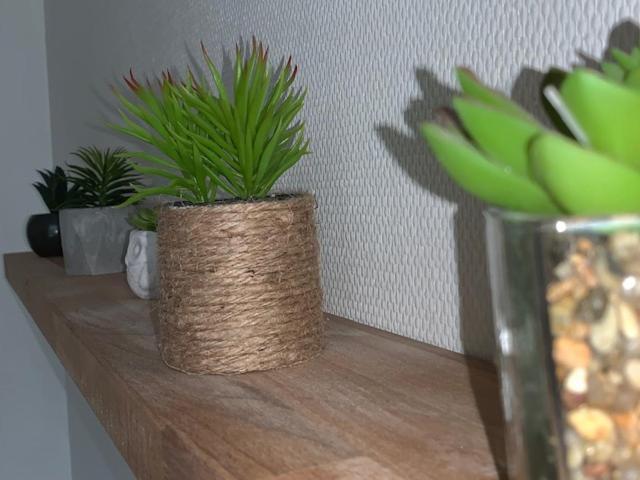 דירות בלואה Studio N5 Terrasse Hypercentre מראה חיצוני תמונה